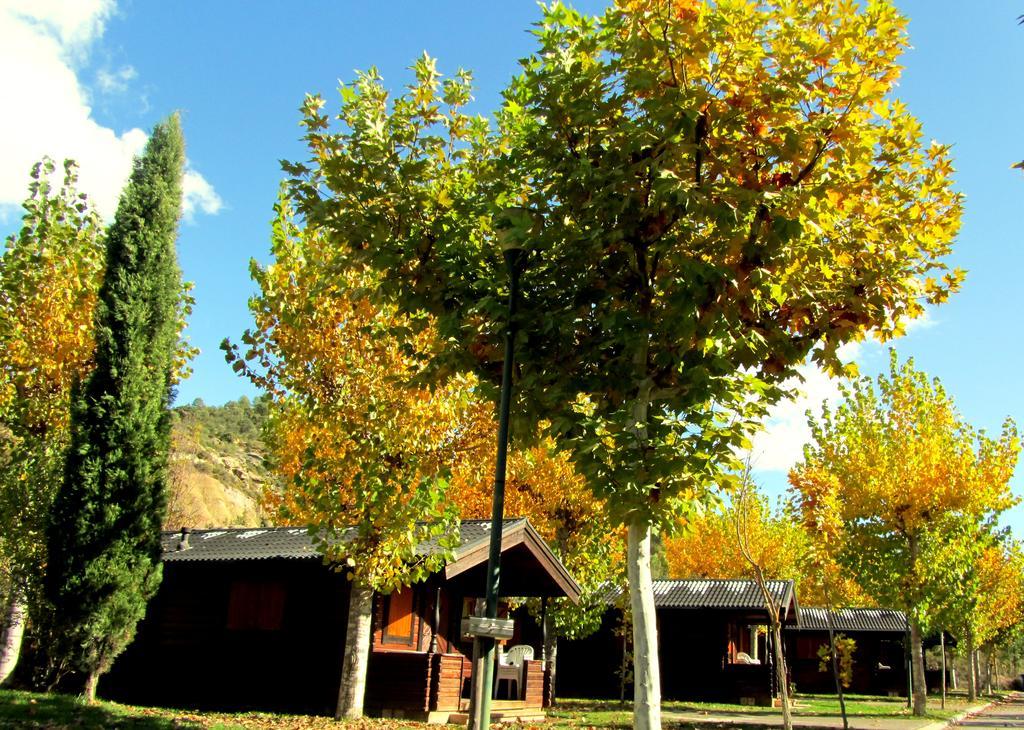 Camping & Bungalows Ligueerre De Cinca Екстериор снимка